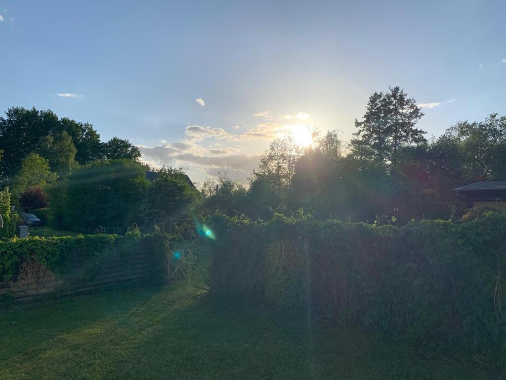 Apartment Scandia Am Warnitz